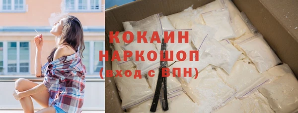 дживик Лагань