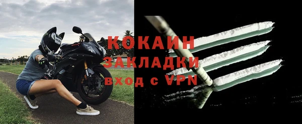 дживик Лагань
