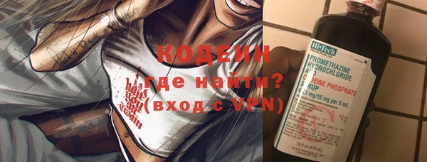 дживик Лагань